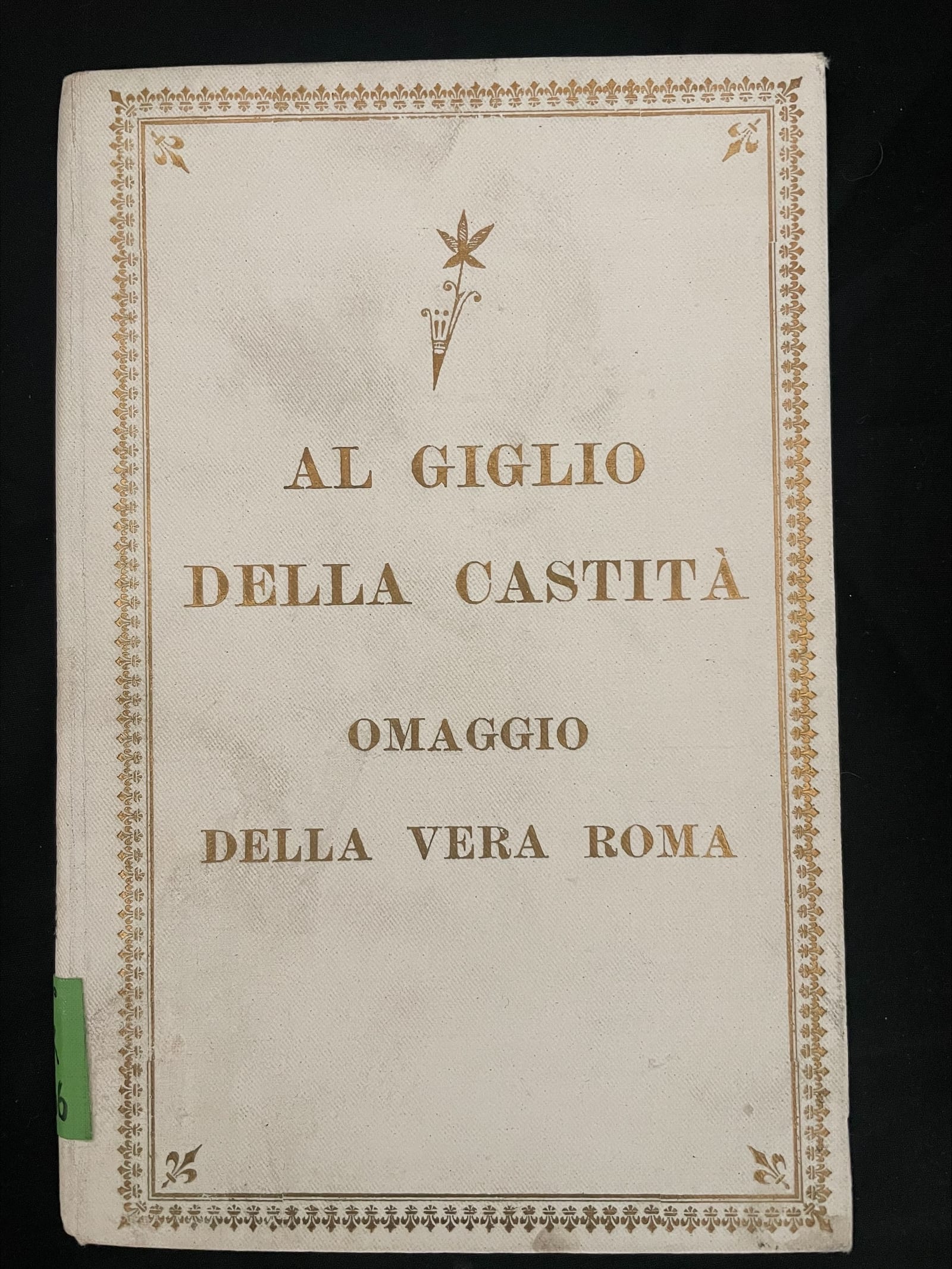 Book cover related to the life and story of Maria Goretti