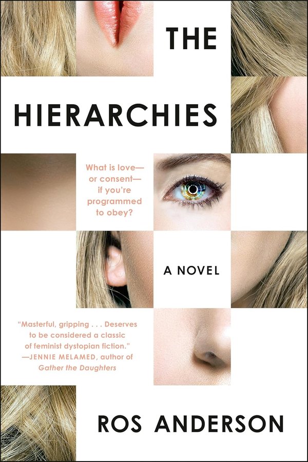 The Hierarchies book cover